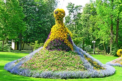 Blumenpfau im Kurpark Bad Krozingen